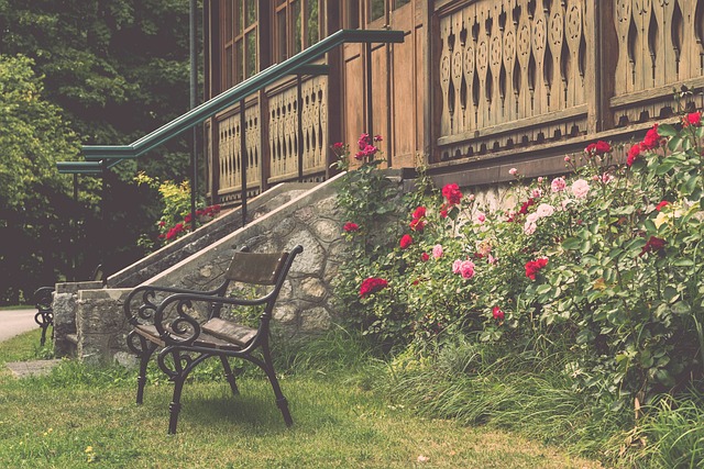 亚冠二级战报：塞鸟建功、柏杨送点染红，国安1-2麦克阿瑟